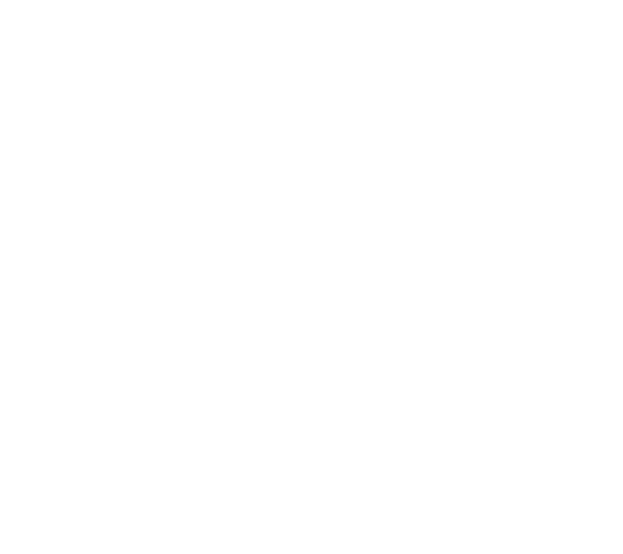 CSC Martin Tradt LBV Tradt